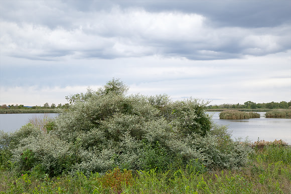 Bewilderness 022