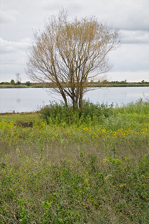 Bewilderness 023