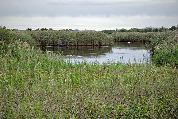 Bewilderness 024