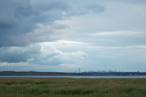 Bewilderness 026
