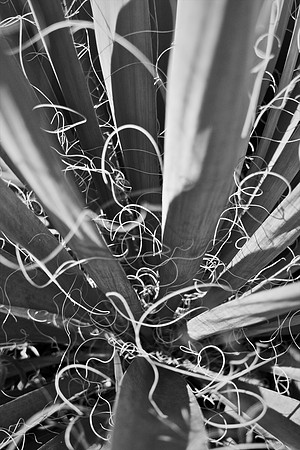 Bewilderness 033