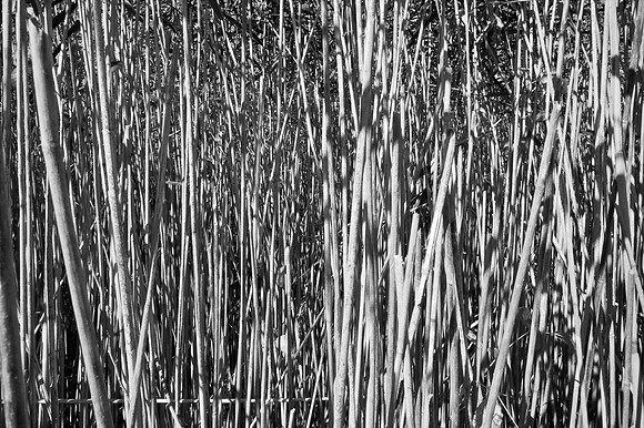 Bewilderness 036