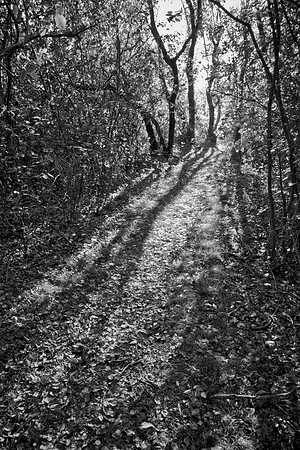 Bewilderness 040