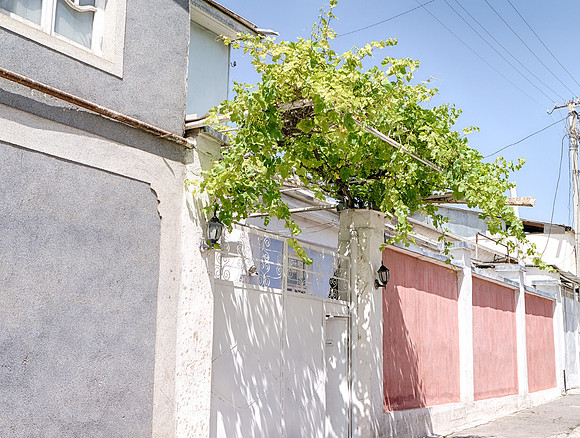 Dushanbe - 039