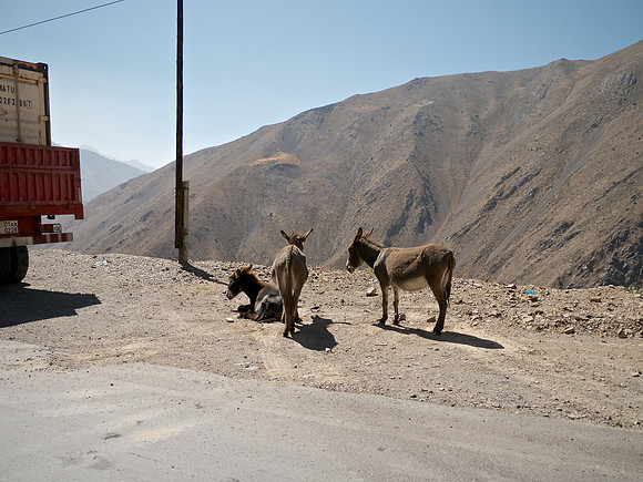 Khujand Road Trip - 31